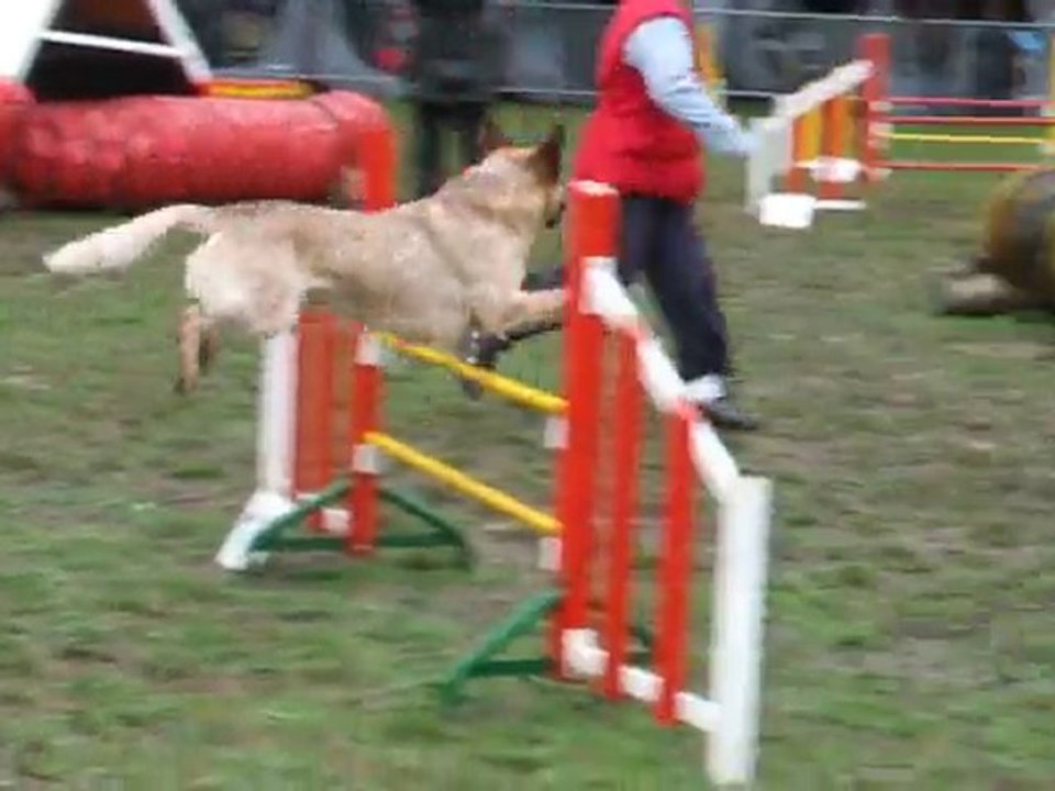 Byron Open