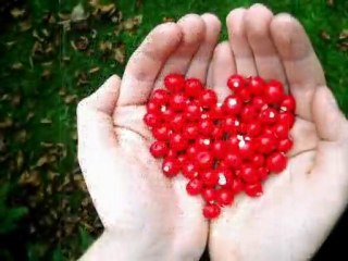 Candan Ercetin - Sitem