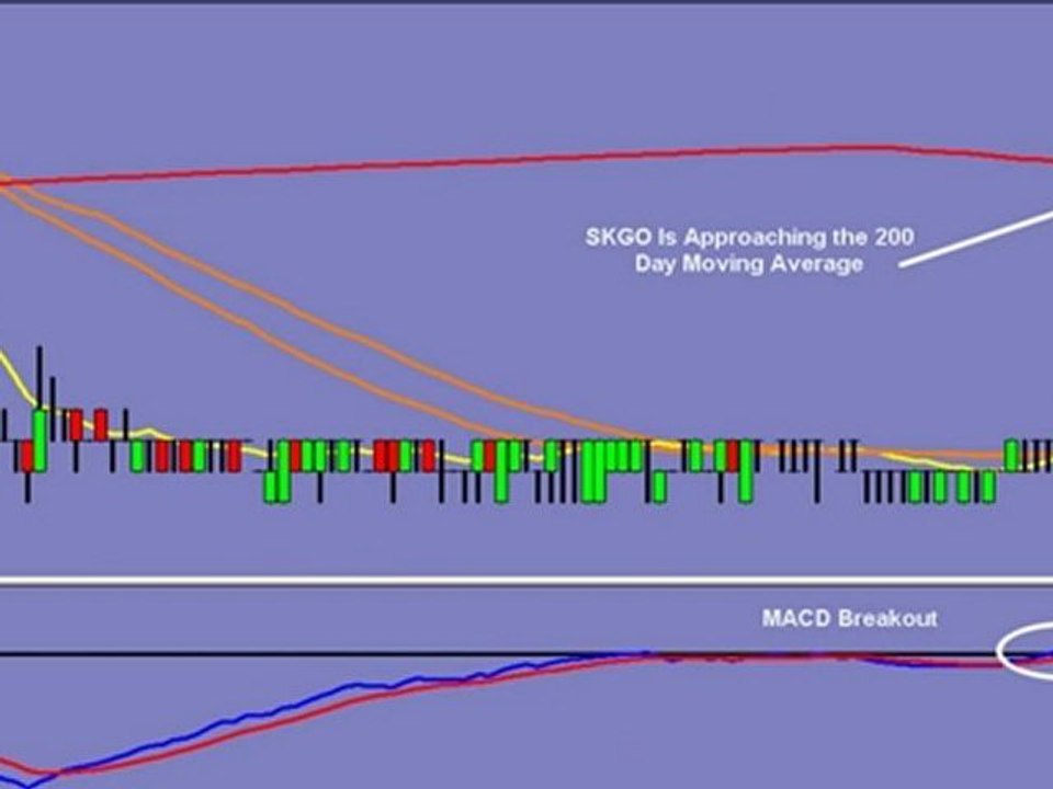 Penny Stock Trading System Reveals Profitable Strategies