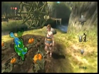 [WT] The legned of Zelda: Twilight Princess 02 Le chat
