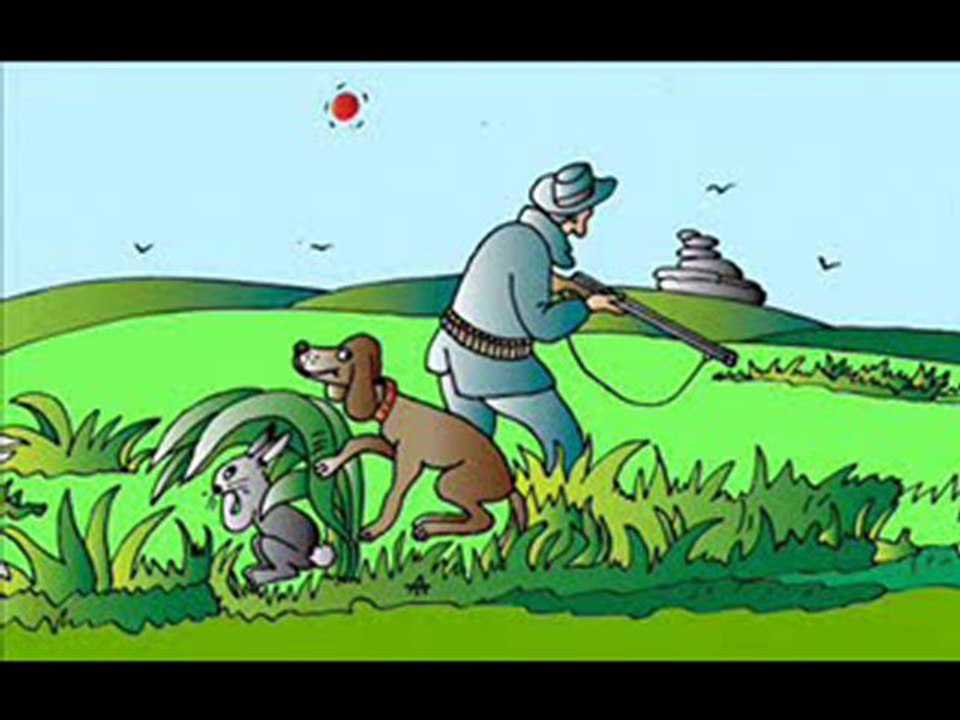 Ceylan ve kaplumbağa