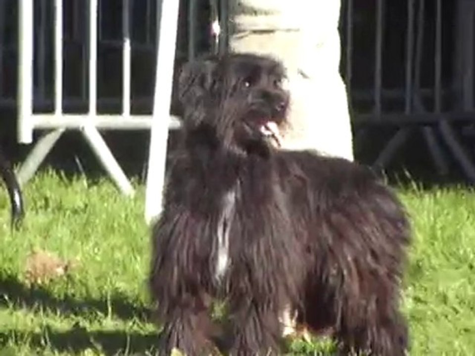 D'Ici de la Borde d'Ouzoum - RE Ohlain