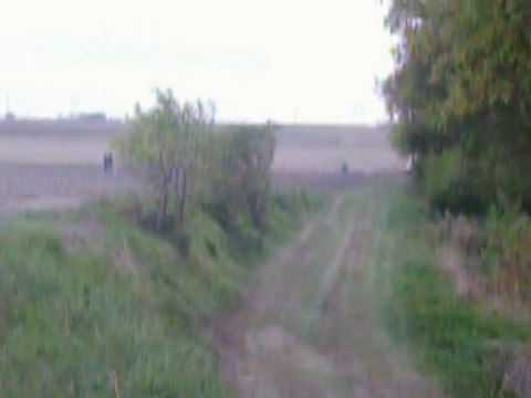 Rallye Dunes et Marais 2010.