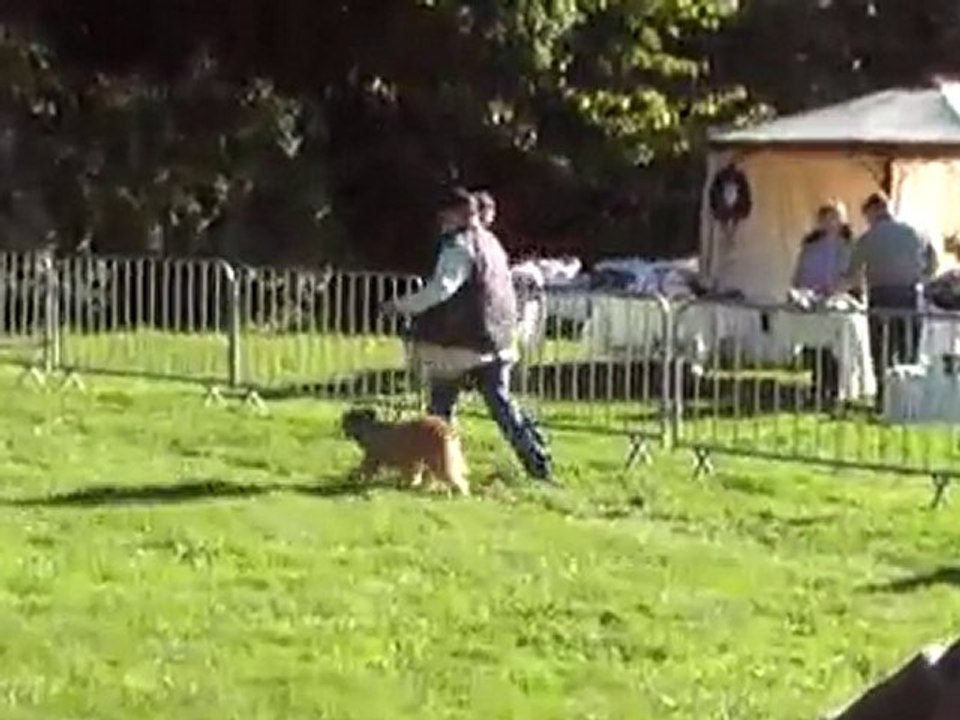 Argounes de l'Opale Fleurie aux allures - RE Ohlain