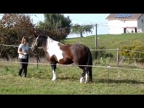 Shouïa travail à pied