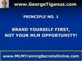 Network Marketing Basics - Personal Branding Principles