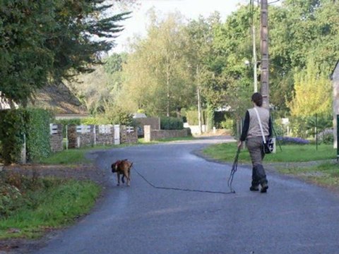 Recherche Utilitaire concours La Chapelle des Marais 2010