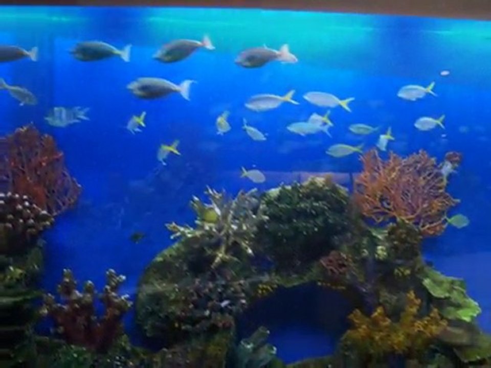 Hotel H2O