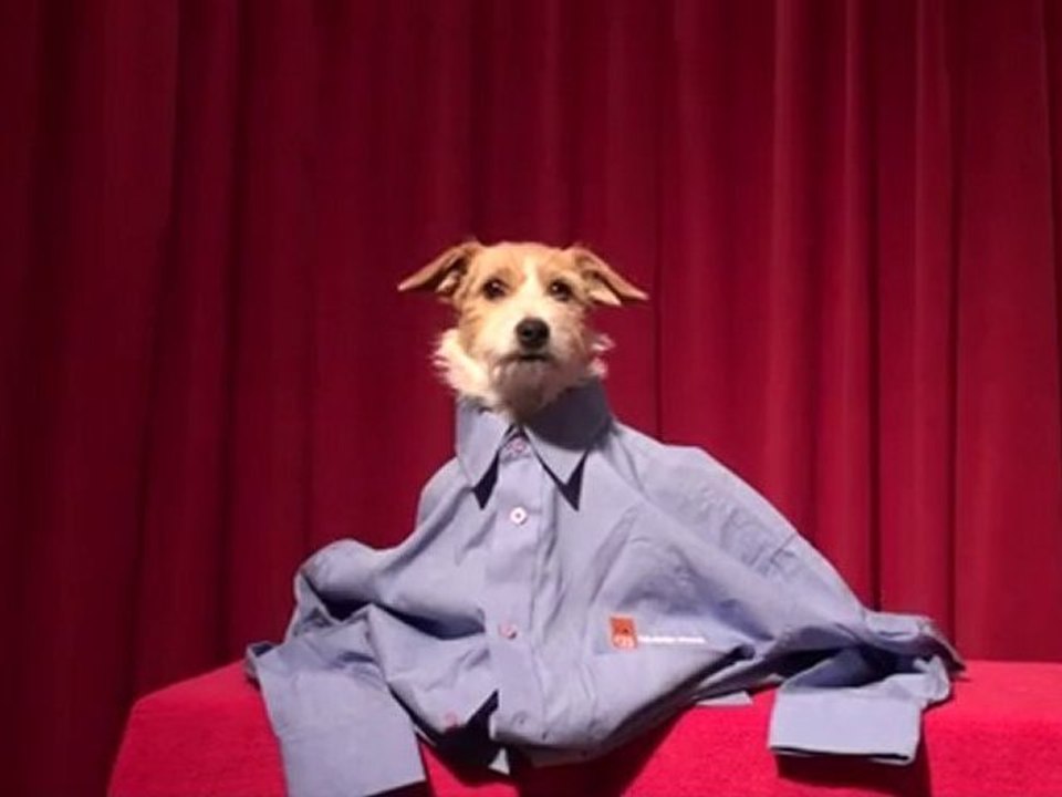 Jack Russell TV | Embroidered Clothing & Sports Clothing