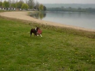 Ever et Lilie disc dog