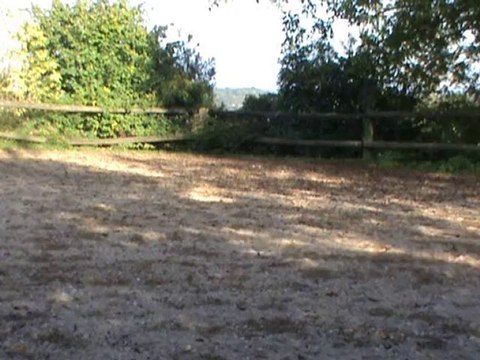 premiers appuyers galop 11.10.10 pour yt