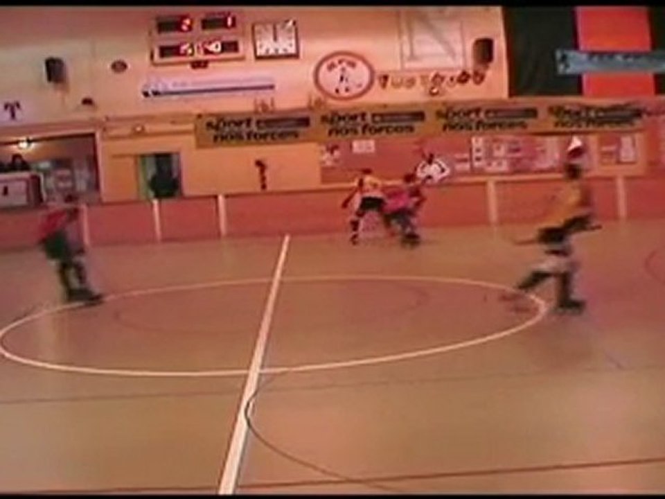 Rink-hockey hoquei: Noisy - Ploufragan 2010-2011