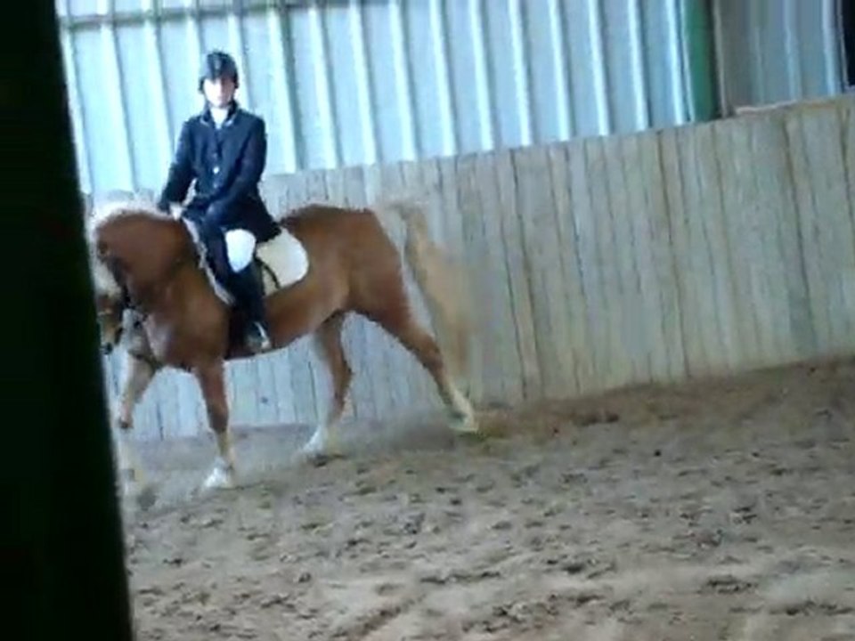 dressage club 2 gp