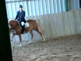dressage club 2 gp