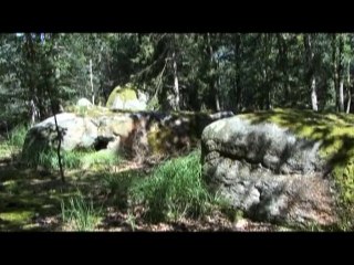 La voiture et le Coquelicot (Bande Annonce)