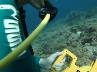 The Coral Triangle under threat | Global 3000