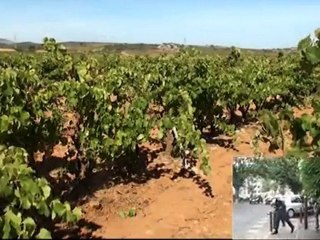 Tu veux niquer la France ? Tu veux tous nous niquer ?