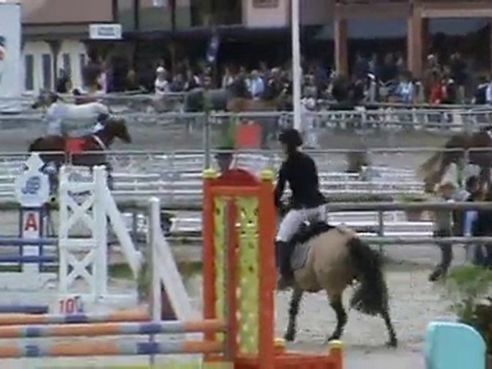 Soho d'haryns sologn pony 2010