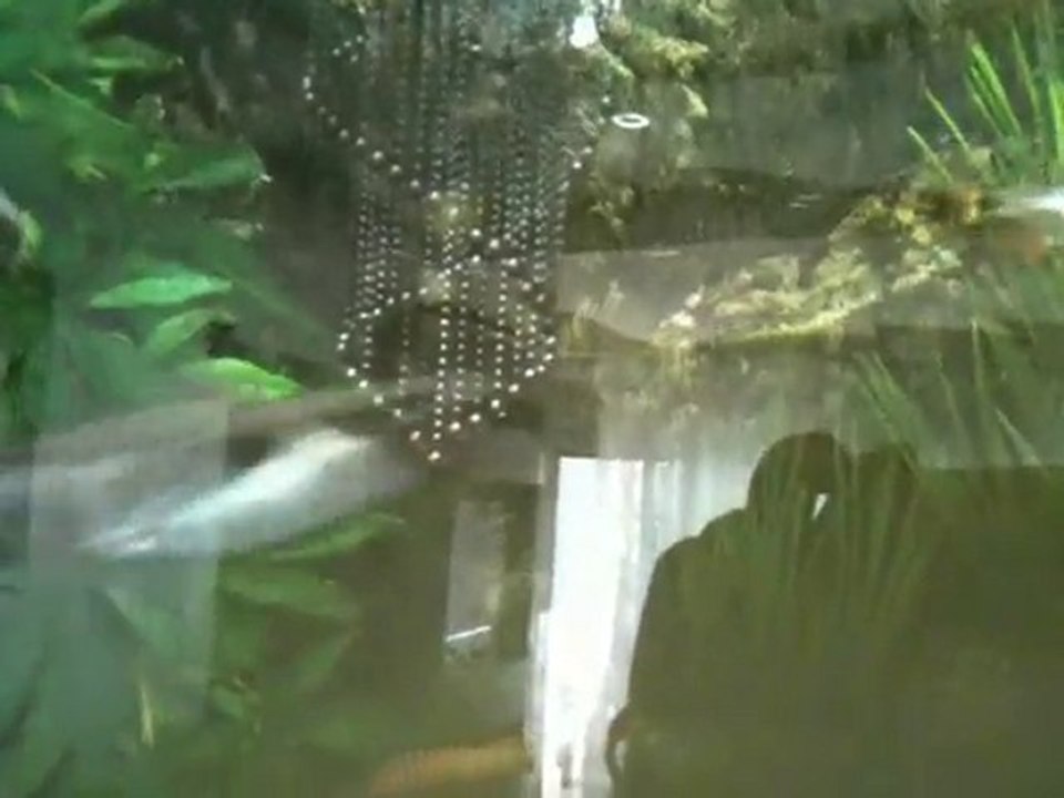 Aquarium