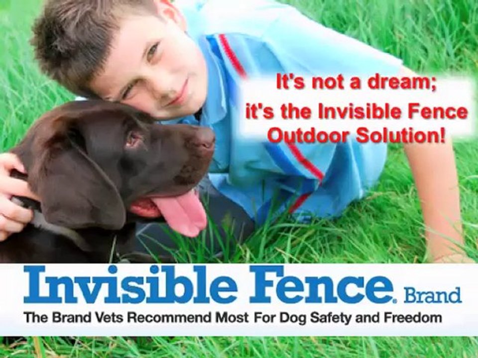 Invisible fence collar Houston