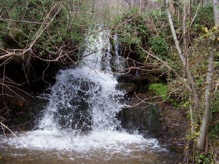 A VENDRE PROPRIETE Parc naturel  haut Languedoc 34 Brassac