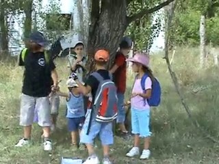 Chasse au trésor 6