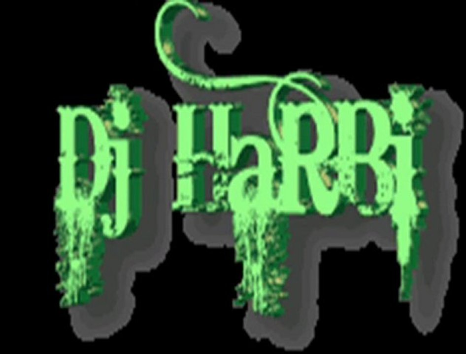 RIZA KARA   ANNAM (REMİX)   DJ  HARBİ