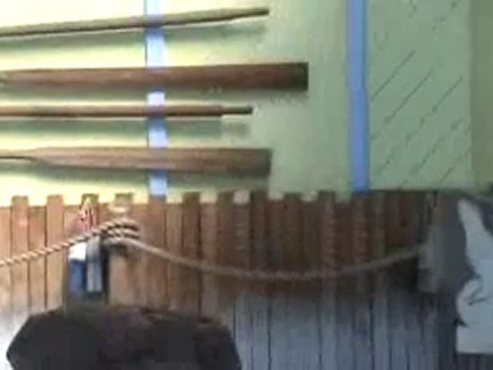 Sea Lion Show Arena St. Louis Zoo