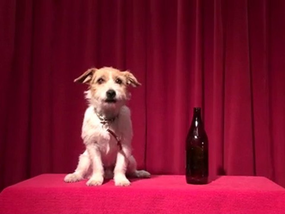 Jack Russell TV | Promotional Keyrings & Plastic Keyrings