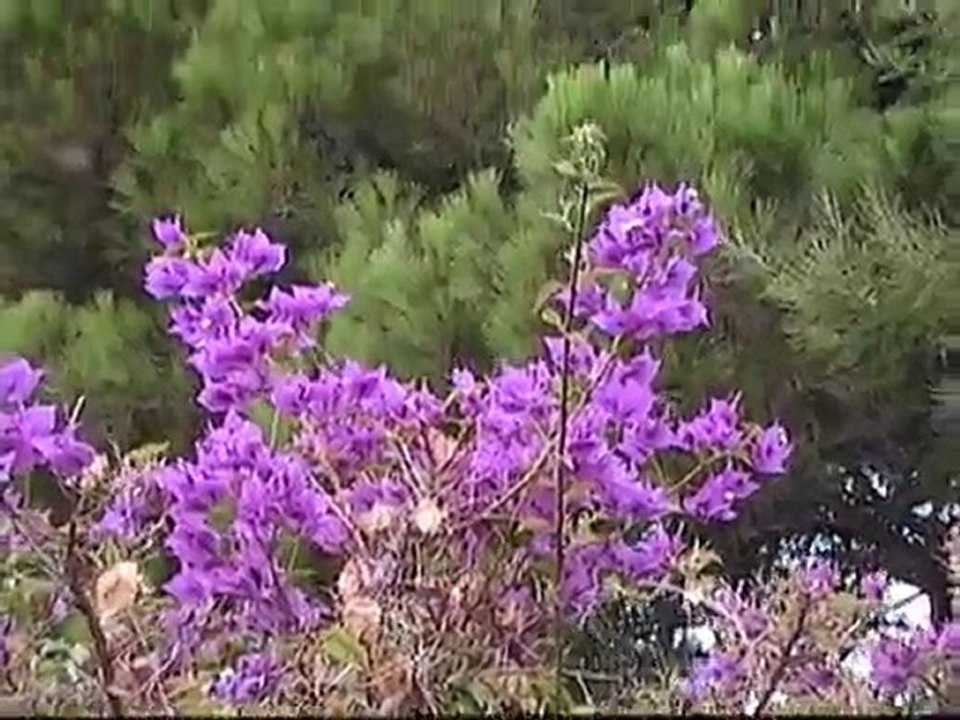 voyage en CC sept 2010 004