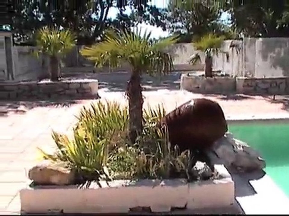 voyage en CC sept 2010 009