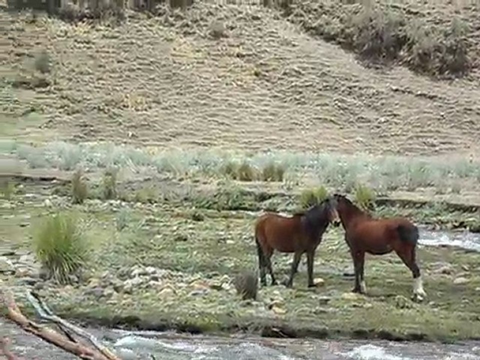 Huaraz 5