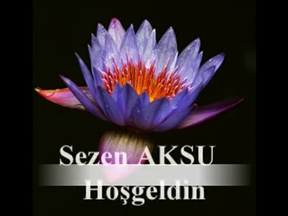 Sezen Aksu - Hosgeldin