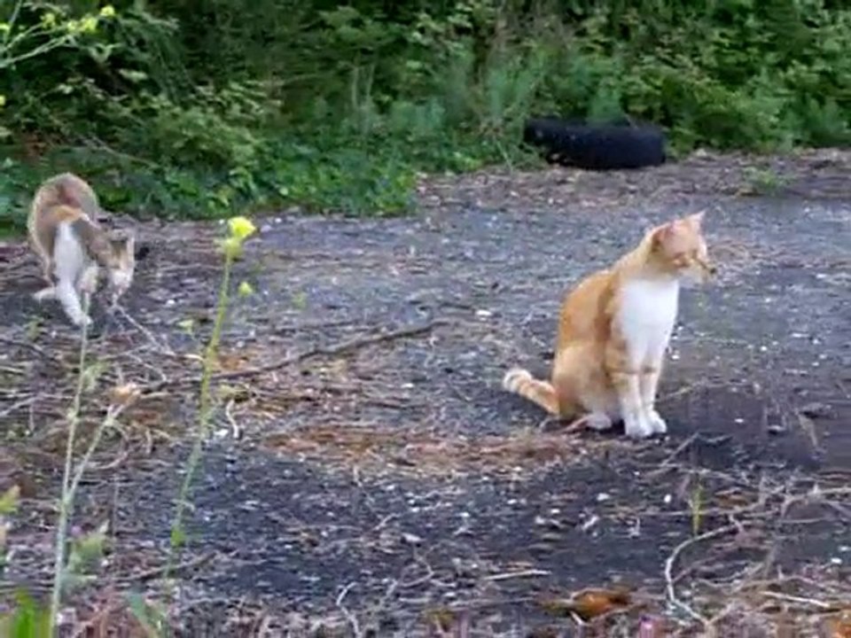 Le bisous de Bonny à son Bébé Ellypse..