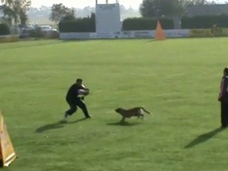 FCI-Quali-2011-FRISCH/Adami - Schutz