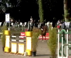 Pacha d'elle CSI Auvers 2010