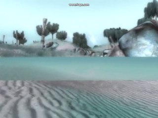 Asylum Monde Aquatique