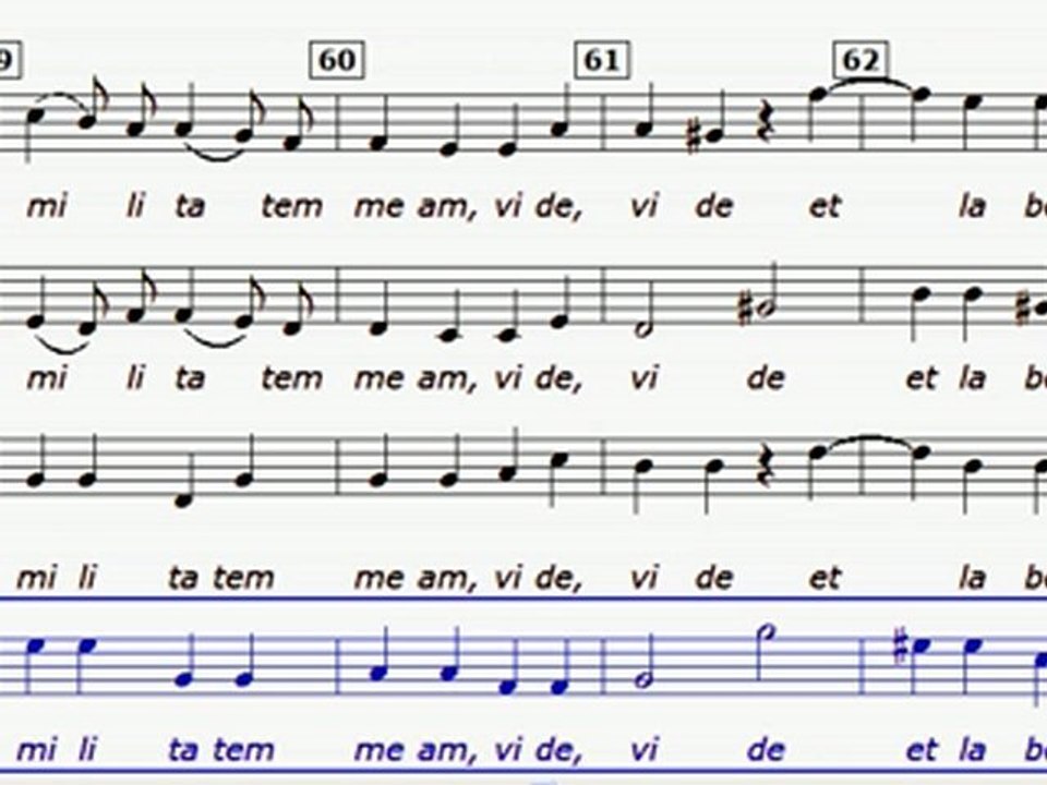 Tribulationes cordis mei (M HAYDN) Tutti