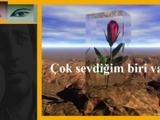 Biri var haram bana