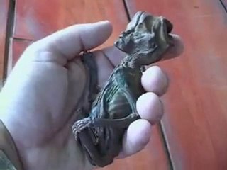 Il mistero delle fate thailandesi