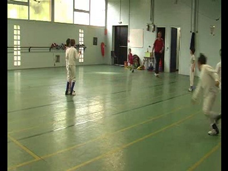 Chat sabre