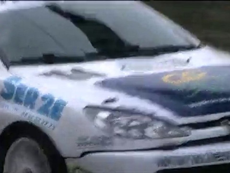 bauge 2010