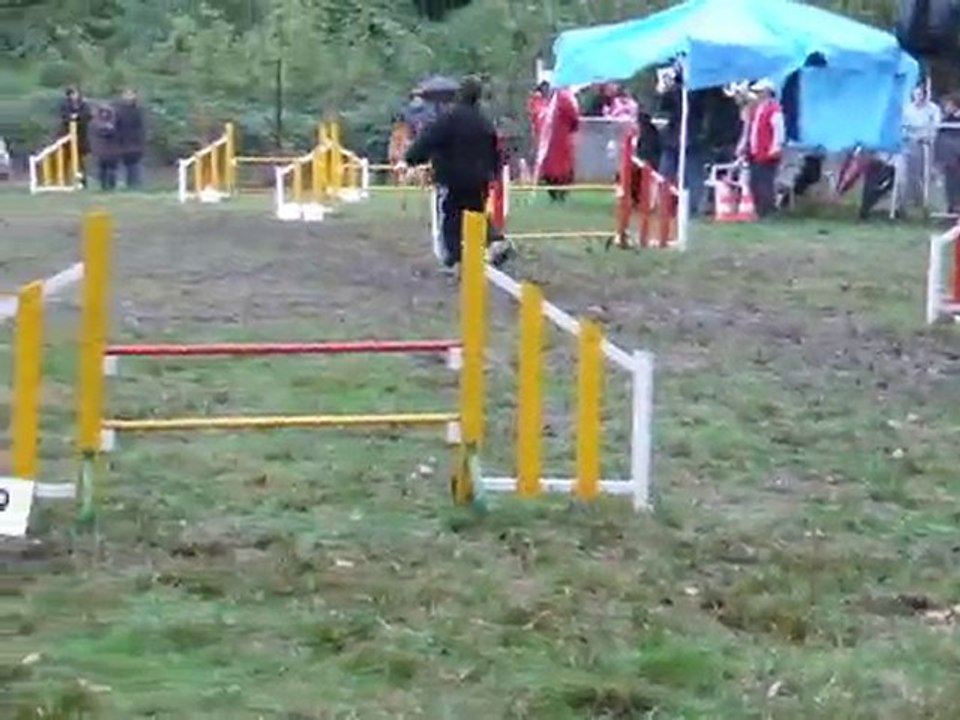 Vee Jump
