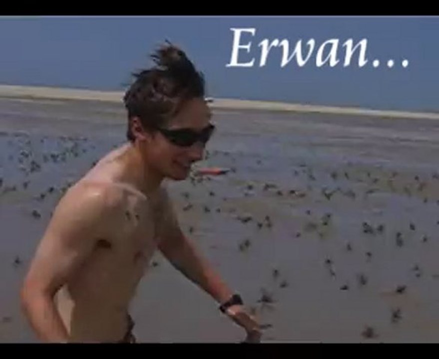 Erwan