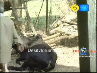 Tehreer Munshi Premchandra Ki - 13th October 2010 Part-1