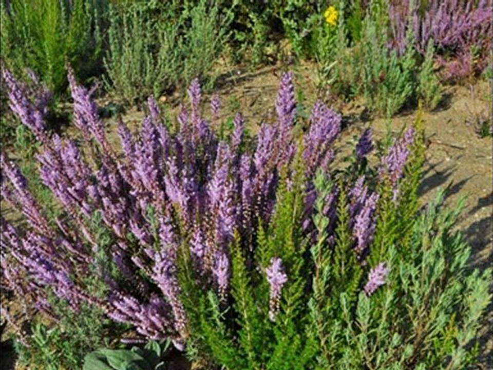 1ère randonnée automnale