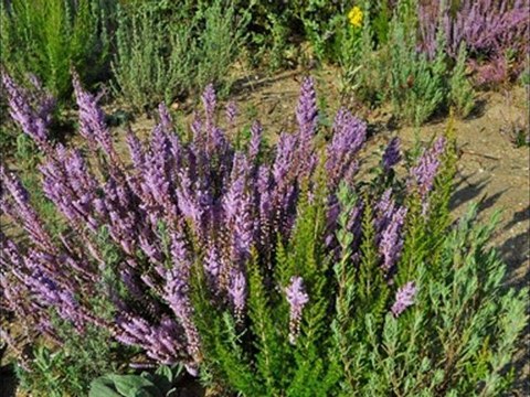 1ère randonnée automnale