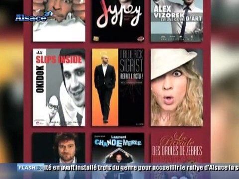 De drôles de zèbres à Strasbourg