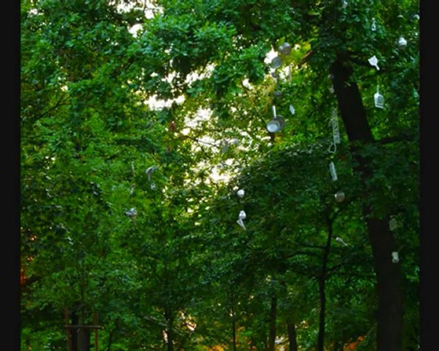 Soutien Harry Potter Rouen II