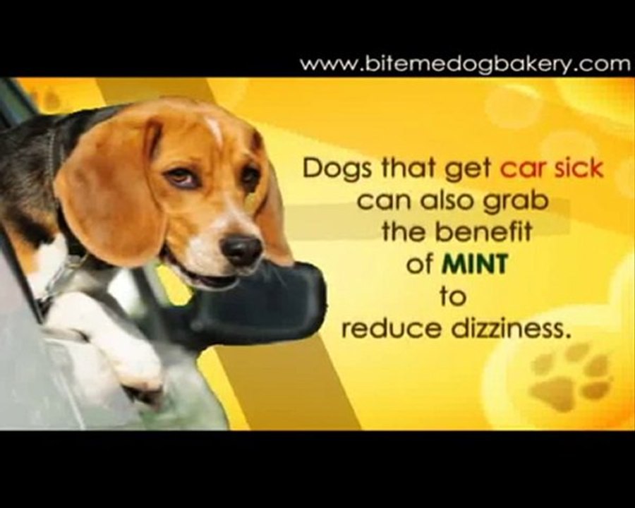 Natural Dog Treats For Minty Fresh Dog Breath